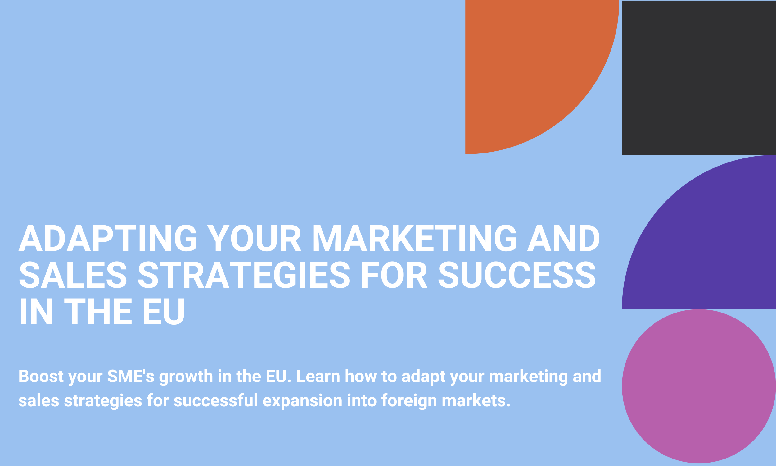 Adapting Your Marketing and Sales Strategies for Success in the EU