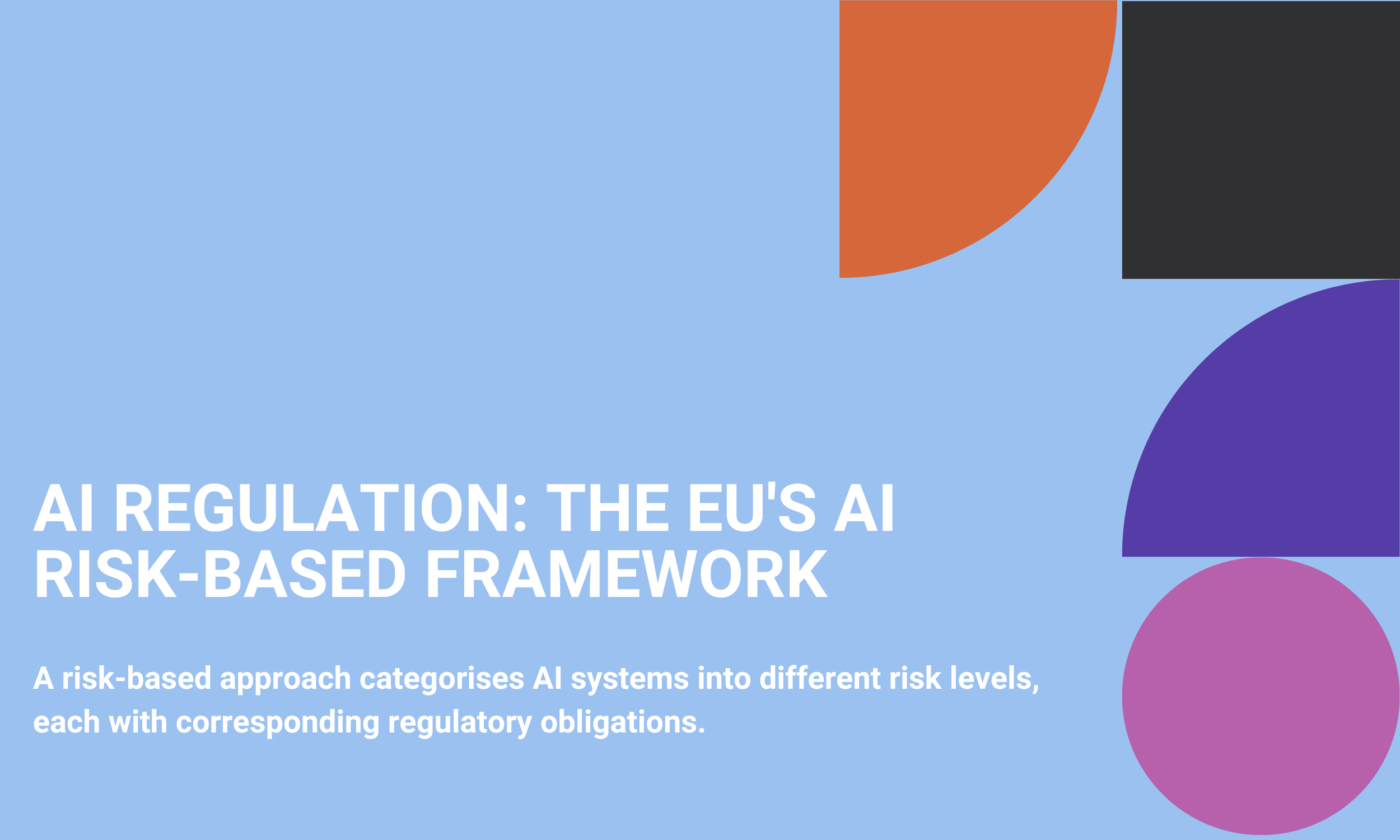 AI Regulation: The EU's AI Risk-Based Framework